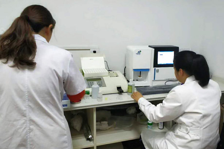 北京新成人抖音91视频生物介绍哪些食物能清热祛湿？